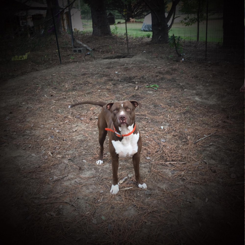 Meet your Posher, Autumn